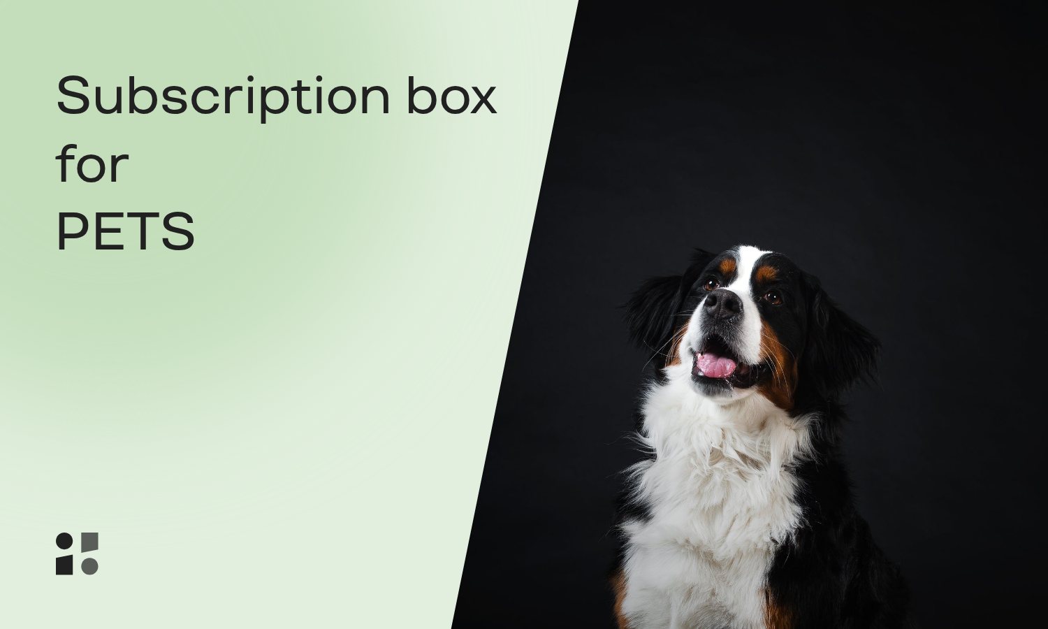How to Start a Pet Subscription Box Business (2024 Guide)